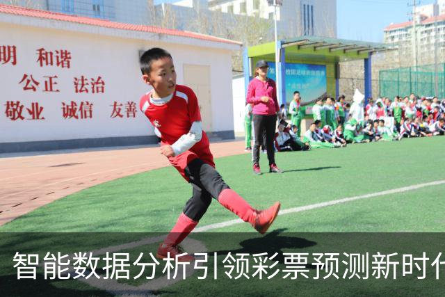 智能数据分析引领彩票预测新时代